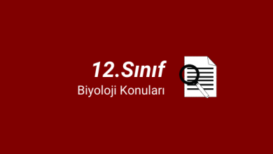 12.sınıf biyoloji konuları