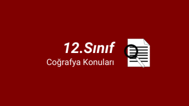 12.sınıf coğrafya konuları