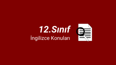 12.sınıf ingilizce konuları