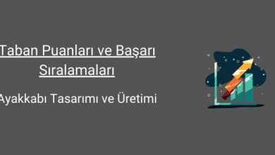 ayakkabı tasarımı ve üretimi taban puanları ve başarı sıralamaları