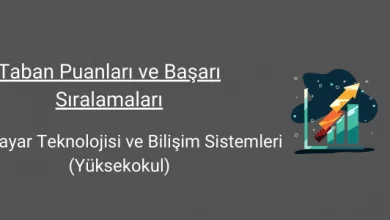bilgisayar teknolojisi ve bilişim sistemleri taban puanları ve başarı sıralamaları
