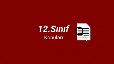 12.sınıf konuları ve müfredatı