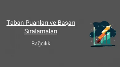 bağcılık taban puanları ve başarı sıralamaları
