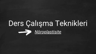 ders çalışma teknikleri nöroplastisite