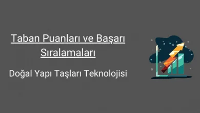 doğal yapı taşları teknolojisi taban puanları ve başarı sıralamaları