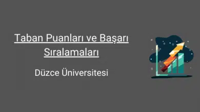 düzce üniversitesi taban puanları