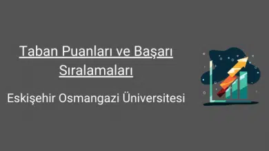 eskişehir osmangazi üniversitesi taban puanları