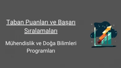 mühendislik ve doğa bilimleri programları taban puanları ve başarı sıralamaları