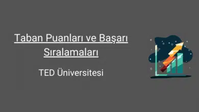 ted üniversitesi taban puanları