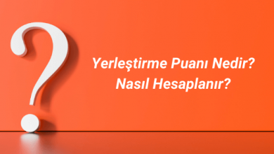 yerleştirme puanı nedir? nasıl hesaplanır?