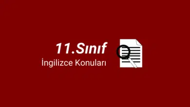 11.sınıf ingilizce konuları