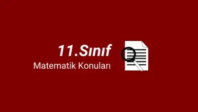 11.sınıf matematik konuları