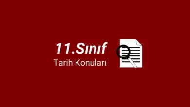 11.sınıf tarih konuları