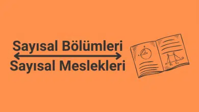 sayısal bölümleri ve sayısal meslekleri