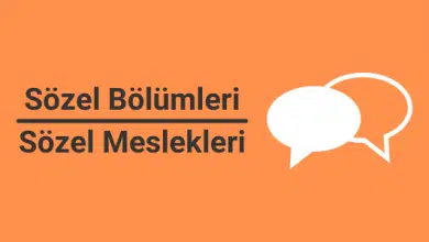 sözel bölümleri ve sözel meslekleri