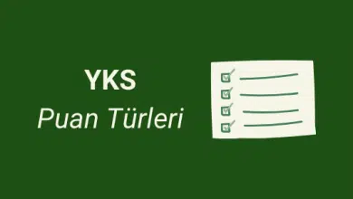 yks puan türleri