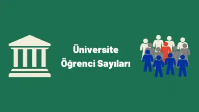 üniversite öğrenci sayıları