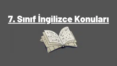 7. sınıf i̇ngilizce konuları