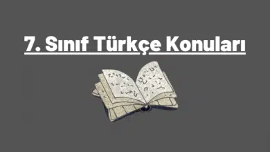 7. sınıf türkçe konularıı