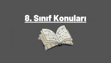 8. sınıf konuları