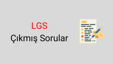 lgs çıkmış sorular