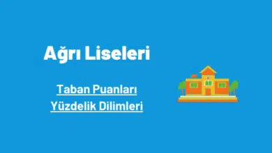 Ağrı liseleri taban puanları ve yüzdelik dilimleri