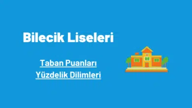 Bilecik liseleri taban puanları ve yüzdelik dilimleri