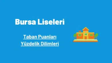 Bursa liseleri taban puanları ve yüzdelik dilimleri