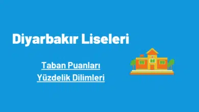 Diyarbakır liseleri taban puanları ve yüzdelik dilimleri