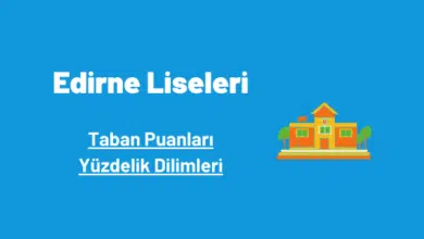Edirne liseleri taban puanları ve yüzdelik dilimleri