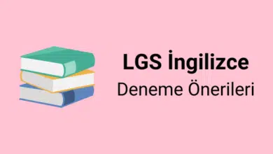 lgs i̇ngilizce deneme önerileri