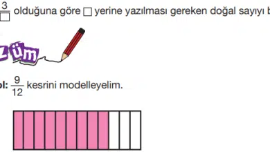 5.sinifmatematiksayfa100 min