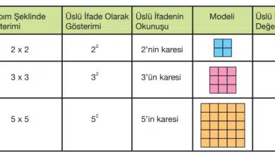 5.sinifmatematiksayfa74 min