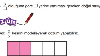 5.sinifmatematiksayfa98 min