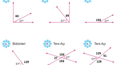 6.sinif matematik calisma kitabi sayfa 148 min