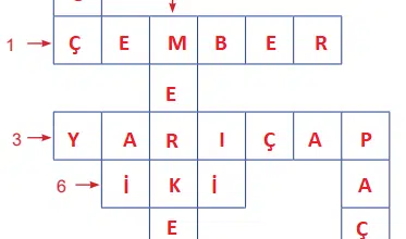 6.sinif matematik calisma kitabi sayfa 181 min