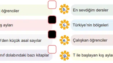 6.sinif matematik calisma kitabi sayfa 41 min
