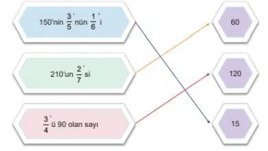 6.sinif matematik calisma kitabi sayfa 81 min